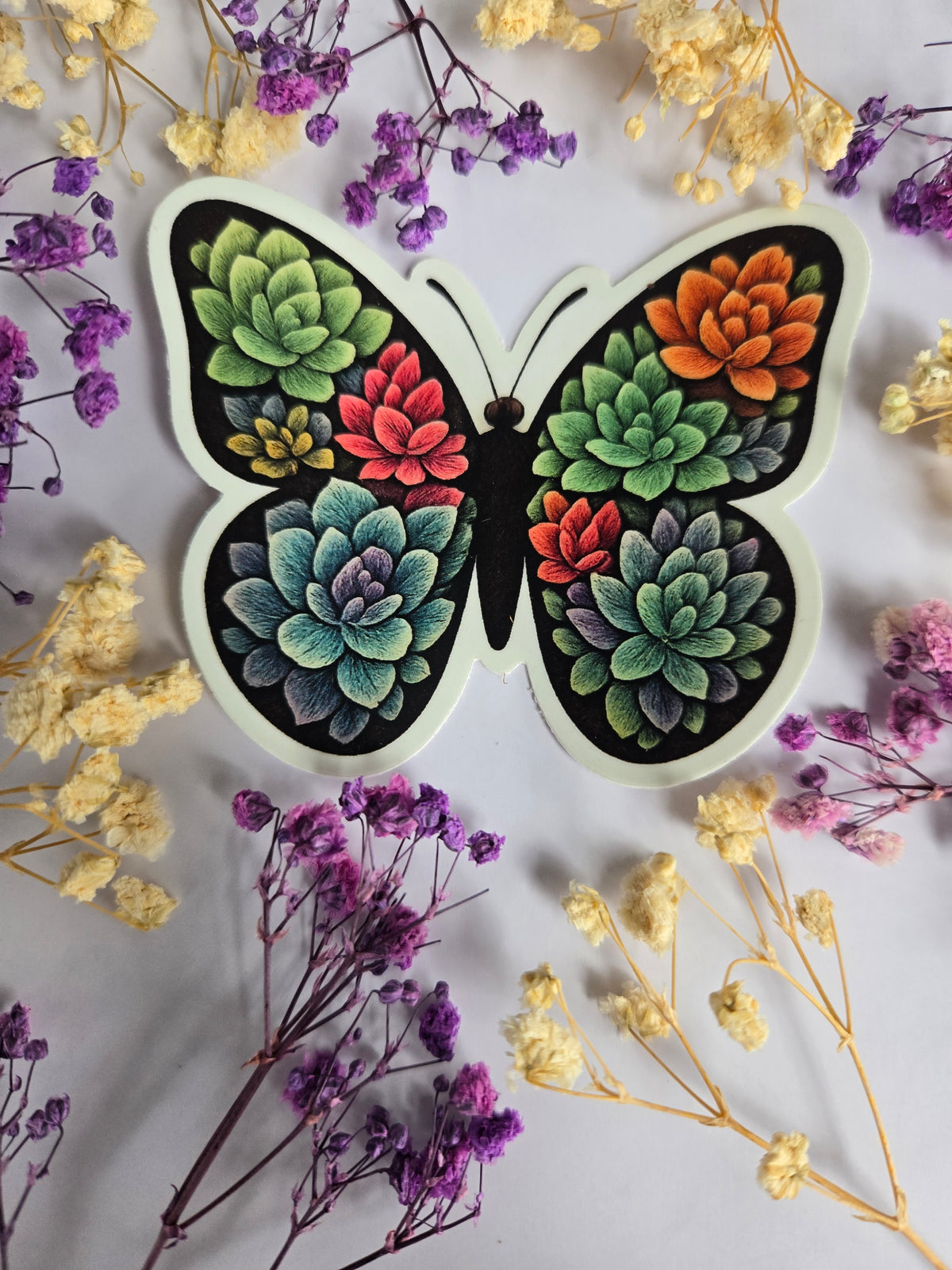 Succulent Butterfly