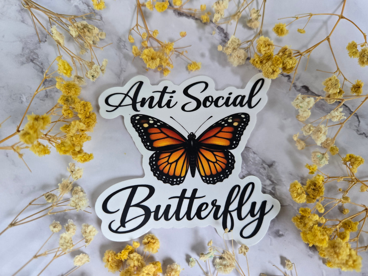 Anti Social Butterfly
