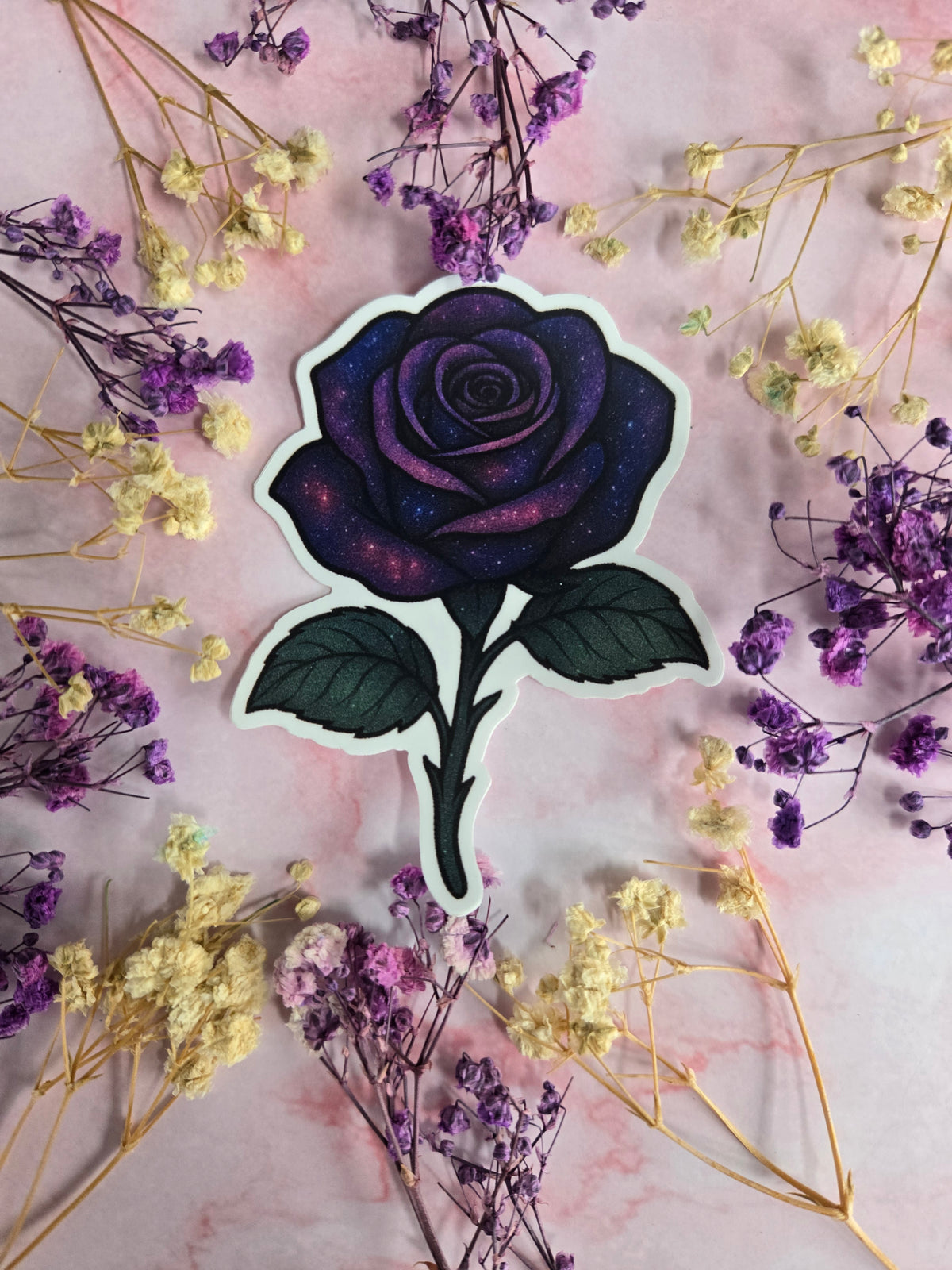 Galaxy Rose