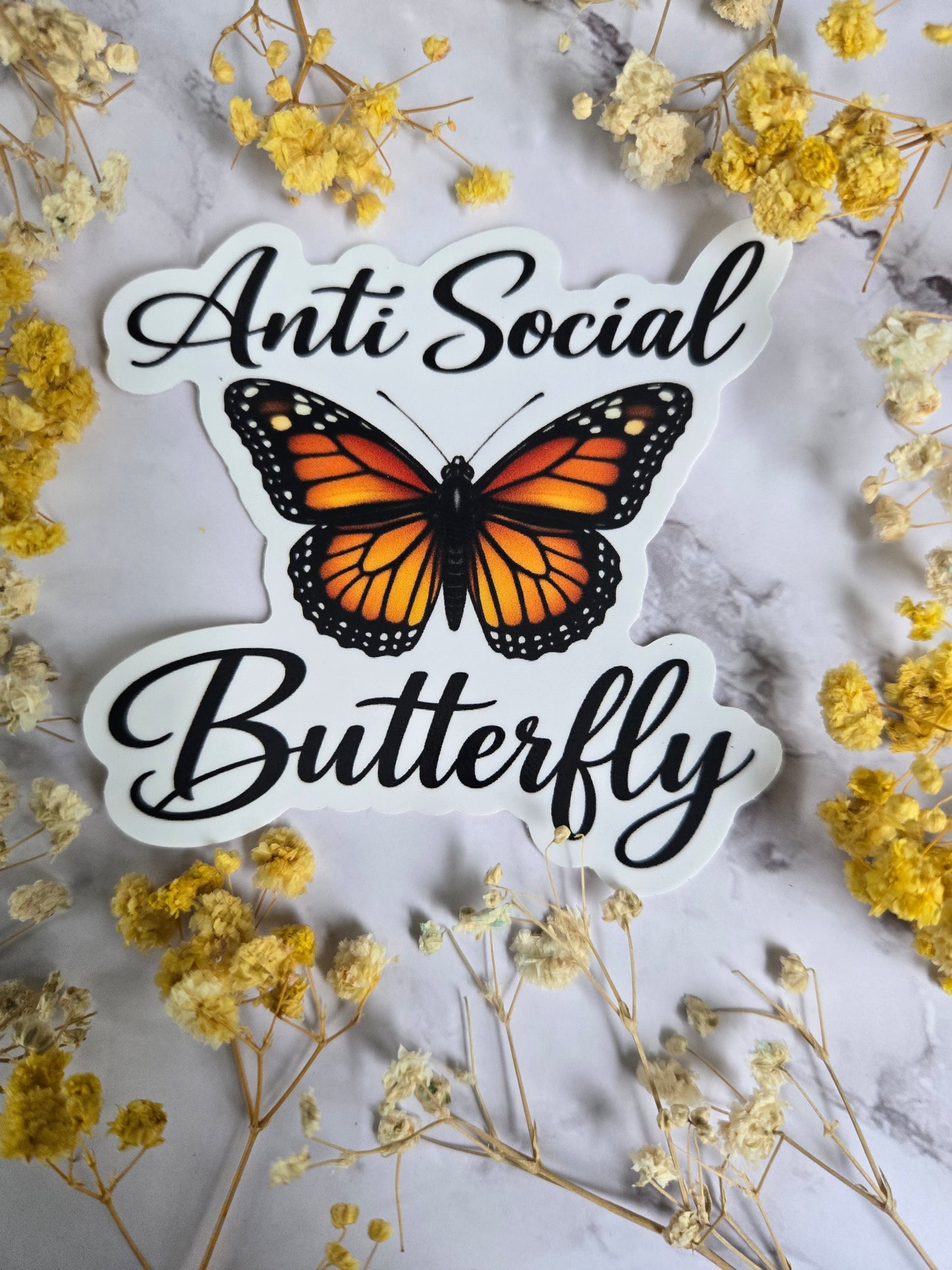 Anti Social Butterfly