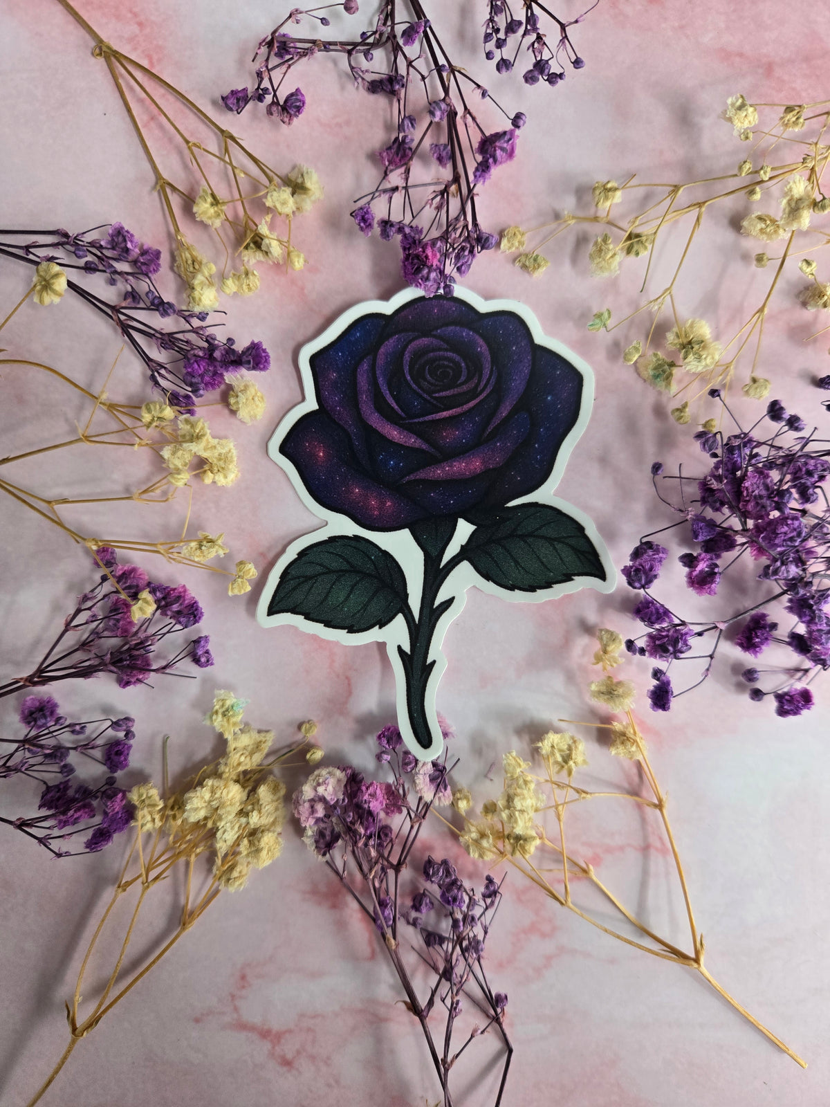 Galaxy Rose