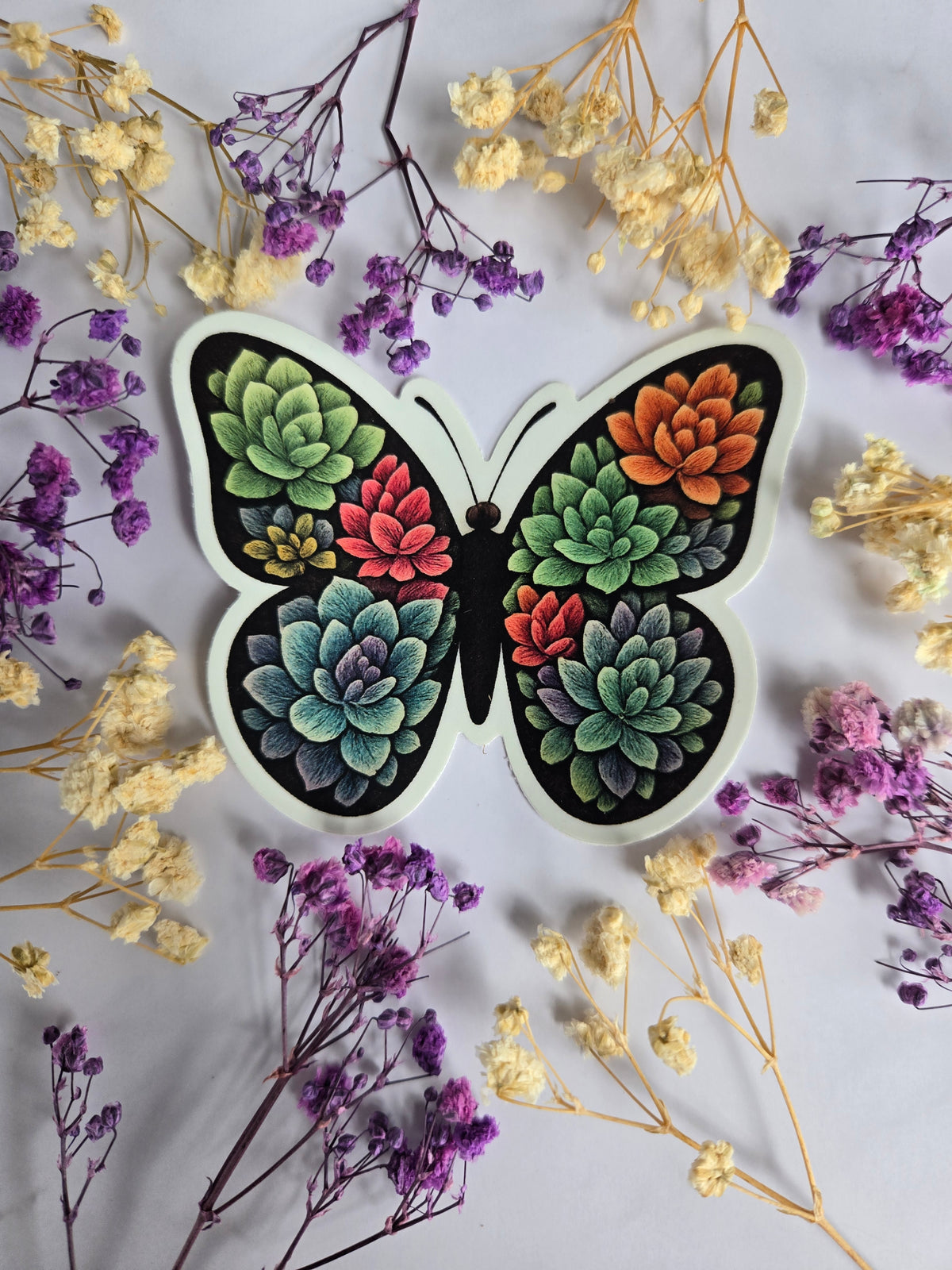 Succulent Butterfly